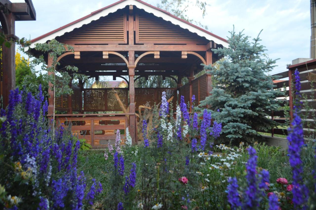 Cabane de lemn Costinesti Extérieur photo