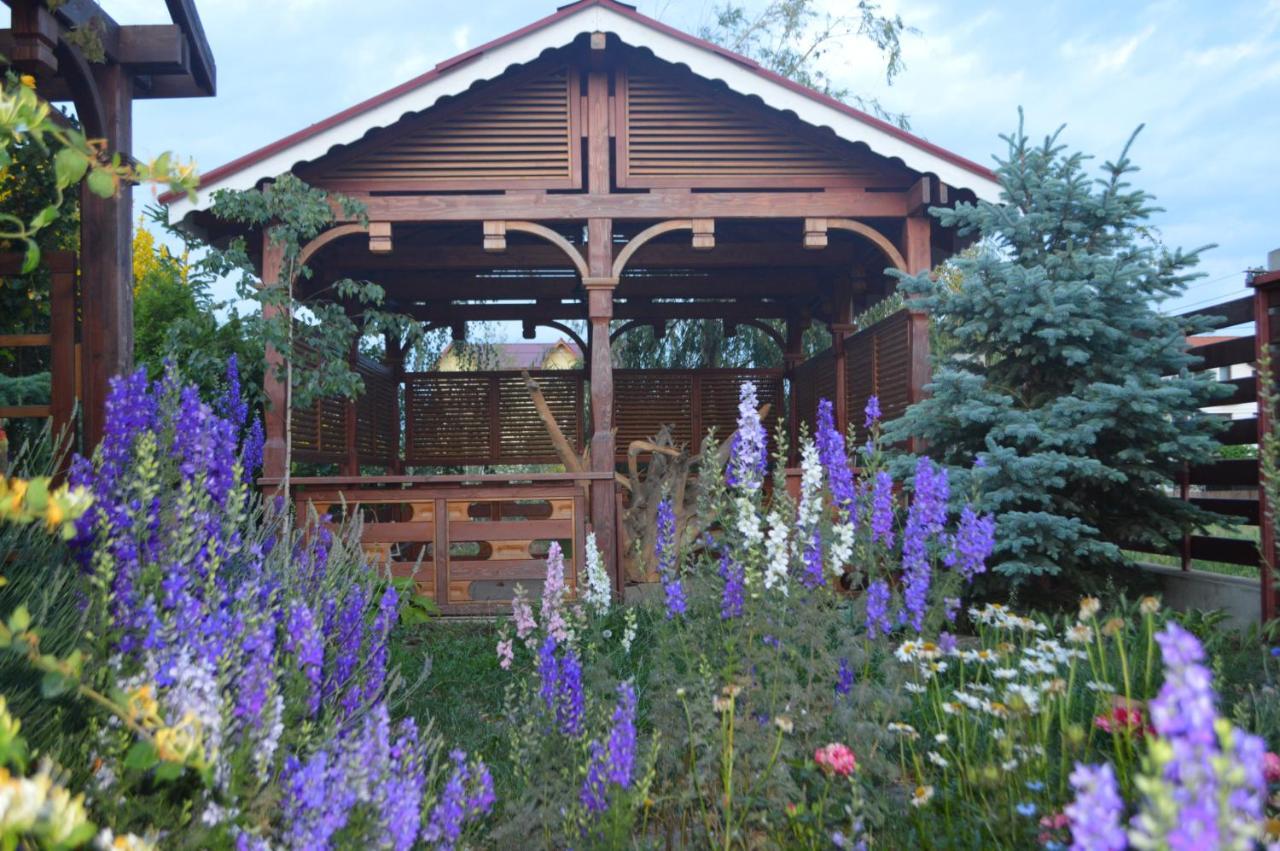 Cabane de lemn Costinesti Extérieur photo