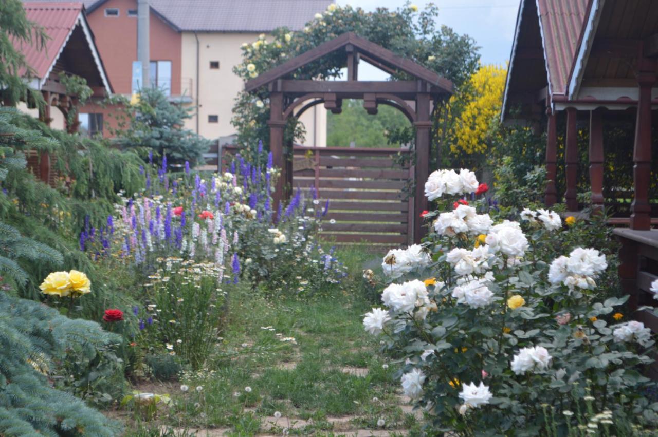 Cabane de lemn Costinesti Extérieur photo