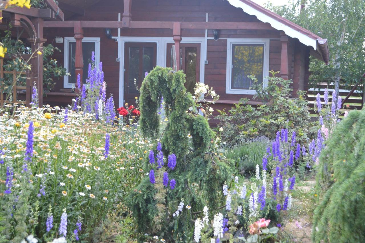 Cabane de lemn Costinesti Extérieur photo